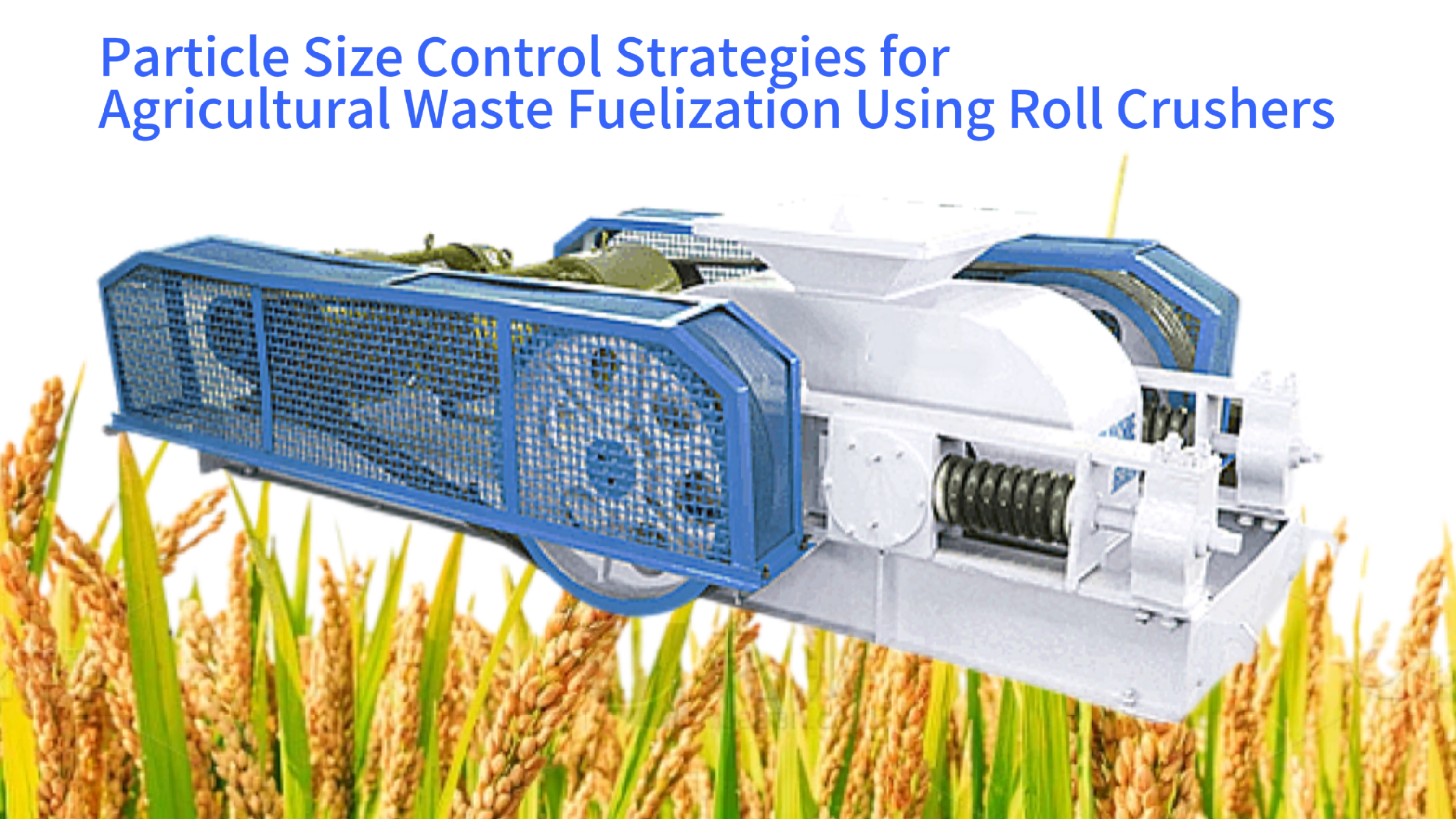 Particle Size Control Strategies for Agricultural Waste Fuelization Using Roll Crushers